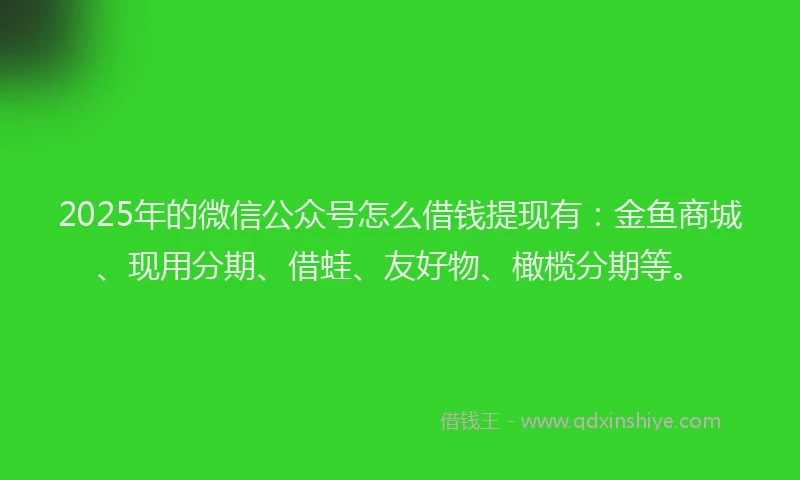 2025年的微信公众号怎么借钱提现有：金鱼商城、现用分期、借蛙、友好物、橄榄分期等。