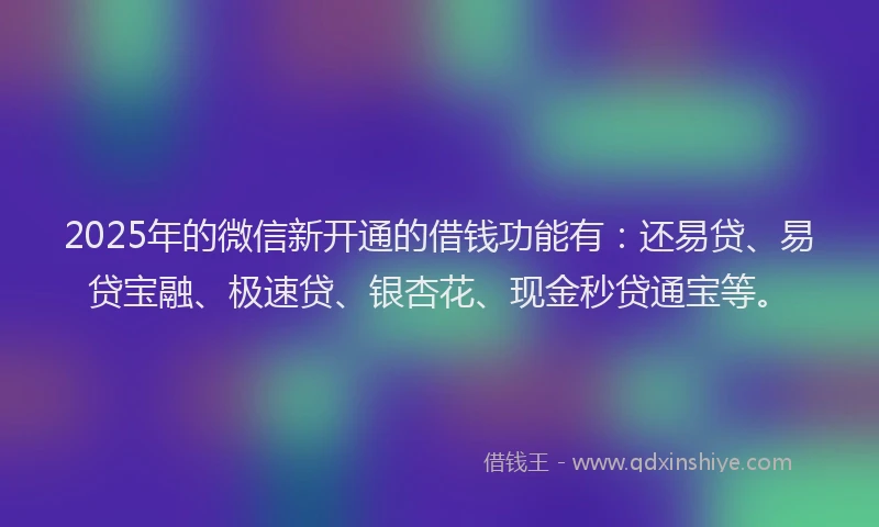 2025年的微信新开通的借钱功能有：还易贷、易贷宝融、极速贷、银杏花、现金秒贷通宝等。