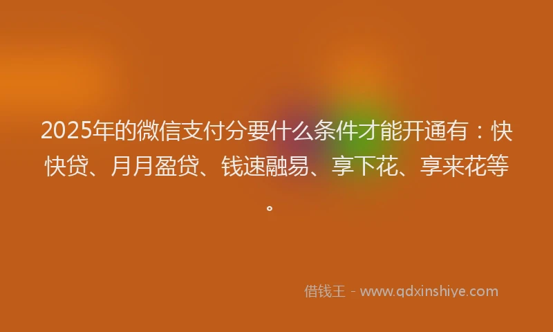 2025年的微信支付分要什么条件才能开通有：快快贷、月月盈贷、钱速融易、享下花、享来花等。