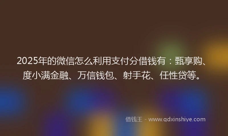 2025年的微信怎么利用支付分借钱有：甄享购、度小满金融、万信钱包、射手花、任性贷等。