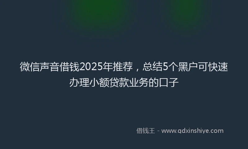 微信声音借钱2025年推荐，总结5个黑户可快速办理小额贷款业务的口子