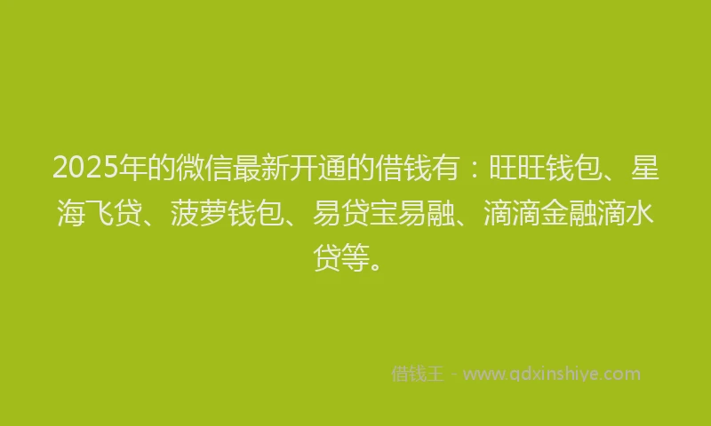 2025年的微信最新开通的借钱有：旺旺钱包、星海飞贷、菠萝钱包、易贷宝易融、滴滴金融滴水贷等。