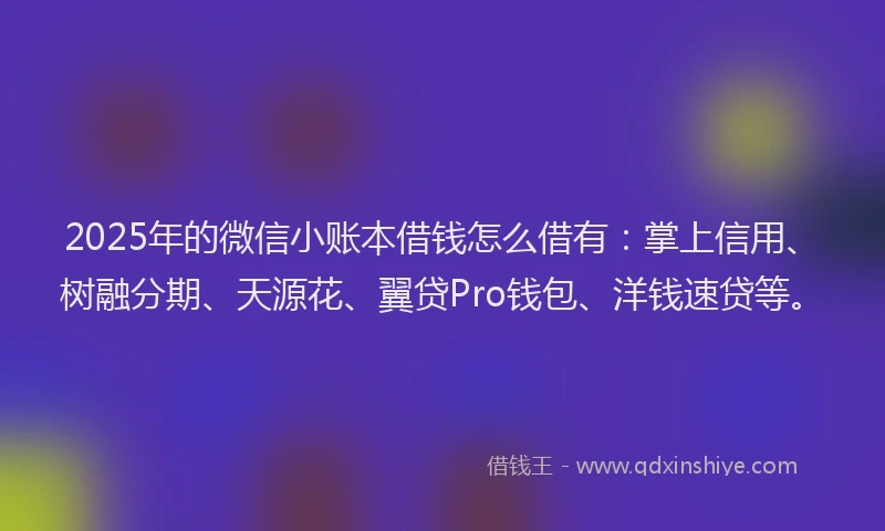 2025年的微信小账本借钱怎么借有：掌上信用、树融分期、天源花、翼贷Pro钱包、洋钱速贷等。