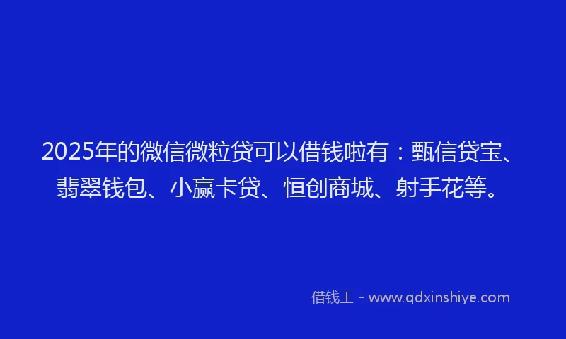 2025年的微信微粒贷可以借钱啦有：甄信贷宝、翡翠钱包、小赢卡贷、恒创商城、射手花等。