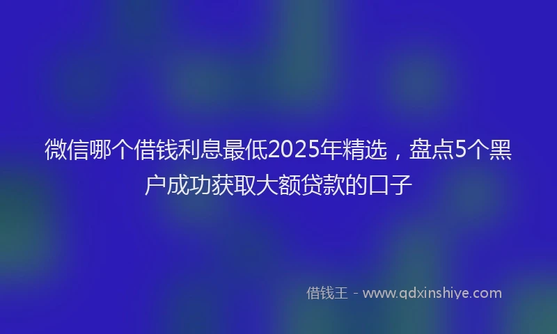 微信哪个借钱利息最低2025年精选，盘点5个黑户成功获取大额贷款的口子