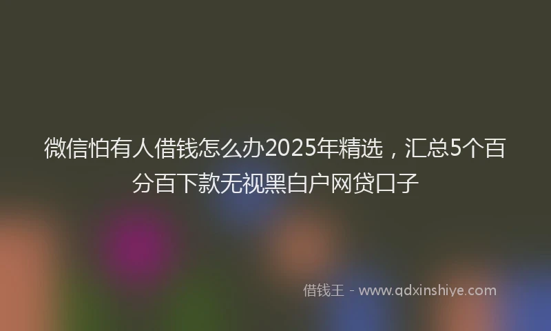 微信怕有人借钱怎么办2025年精选，汇总5个百分百下款无视黑白户网贷口子