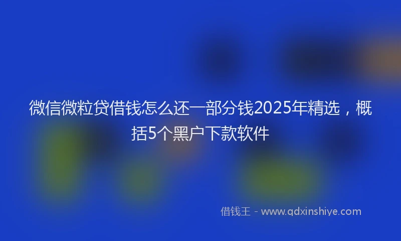 微信微粒贷借钱怎么还一部分钱2025年精选，概括5个黑户下款软件