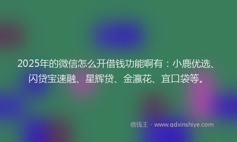 2025年的微信怎么开借钱功能啊有：小鹿优选、闪贷宝速融、星辉贷、金瀛花、宜口袋等。