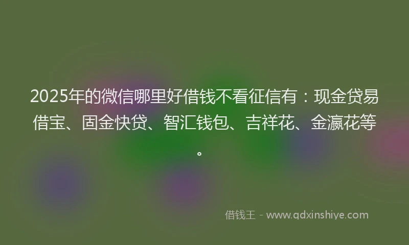 2025年的微信哪里好借钱不看征信有：现金贷易借宝、固金快贷、智汇钱包、吉祥花、金瀛花等。
