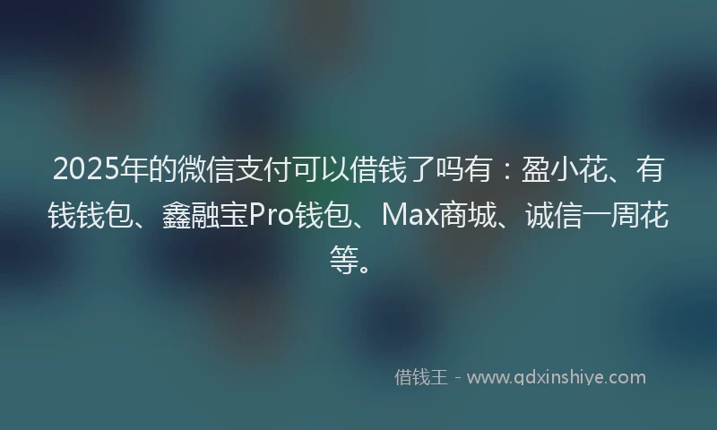 2025年的微信支付可以借钱了吗有：盈小花、有钱钱包、鑫融宝Pro钱包、Max商城、诚信一周花等。