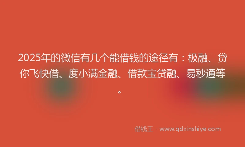 2025年的微信有几个能借钱的途径有：极融、贷你飞快借、度小满金融、借款宝贷融、易秒通等。