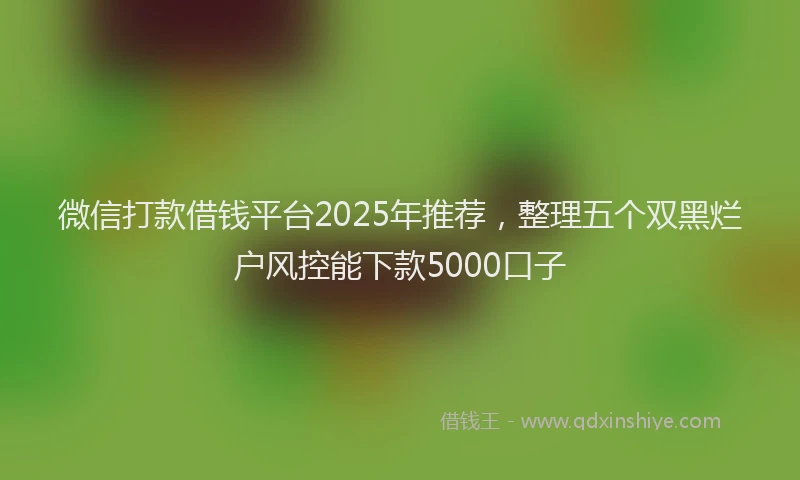 微信打款借钱平台2025年推荐，整理五个双黑烂户风控能下款5000口子