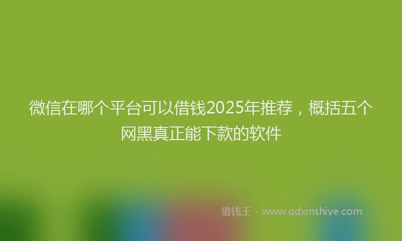 微信在哪个平台可以借钱2025年推荐，概括五个网黑真正能下款的软件