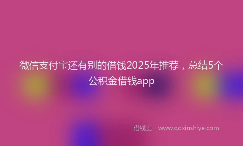 微信支付宝还有别的借钱2025年推荐，总结5个公积金借钱app