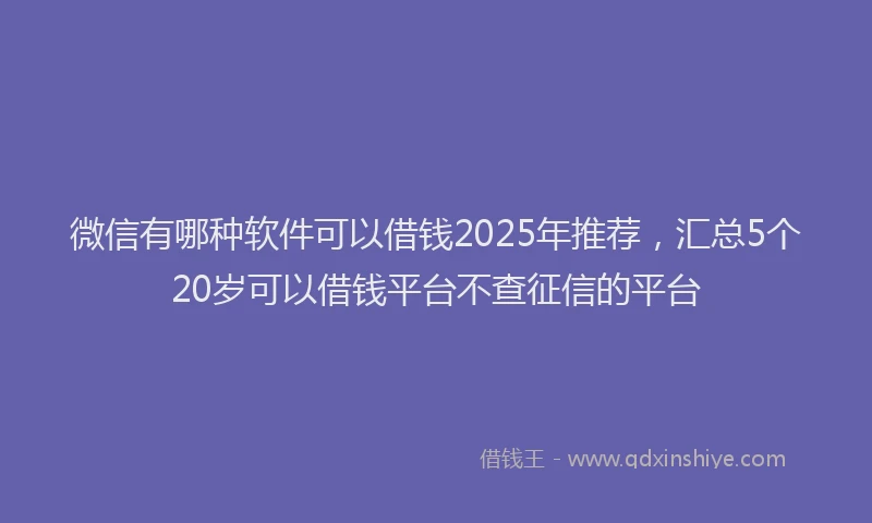 微信有哪种软件可以借钱2025年推荐，汇总5个20岁可以借钱平台不查征信的平台