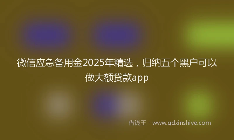 微信应急备用金2025年精选，归纳五个黑户可以做大额贷款app