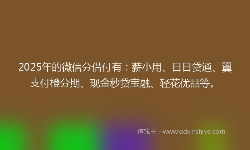 2025年的微信分借付有：薪小用、日日贷通、翼支付橙分期、现金秒贷宝融、轻花优品等。