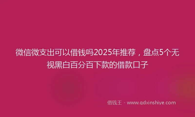 微信微支出可以借钱吗2025年推荐，盘点5个无视黑白百分百下款的借款口子