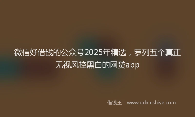 微信好借钱的公众号2025年精选，罗列五个真正无视风控黑白的网贷app