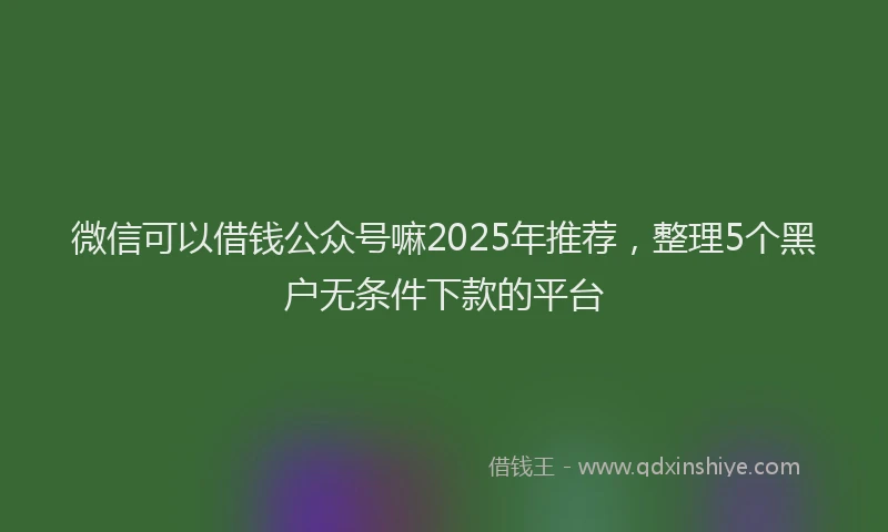 微信可以借钱公众号嘛2025年推荐，整理5个黑户无条件下款的平台