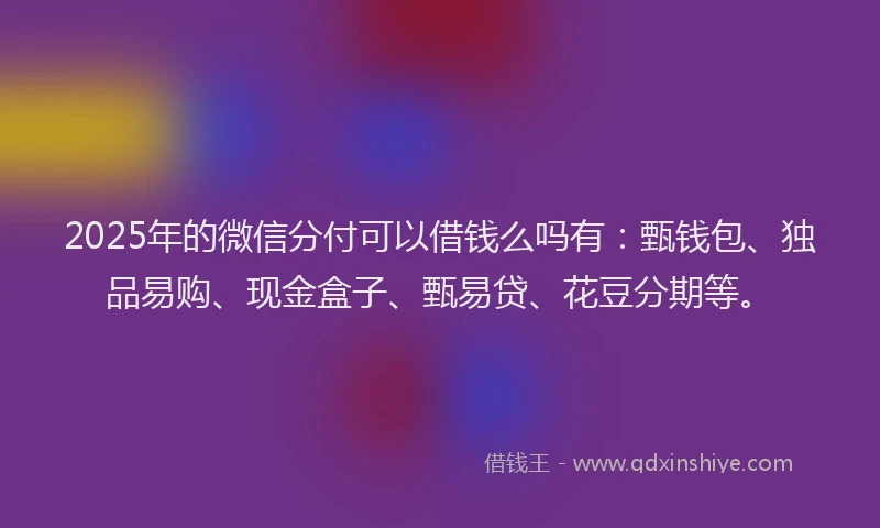 2025年的微信分付可以借钱么吗有：甄钱包、独品易购、现金盒子、甄易贷、花豆分期等。