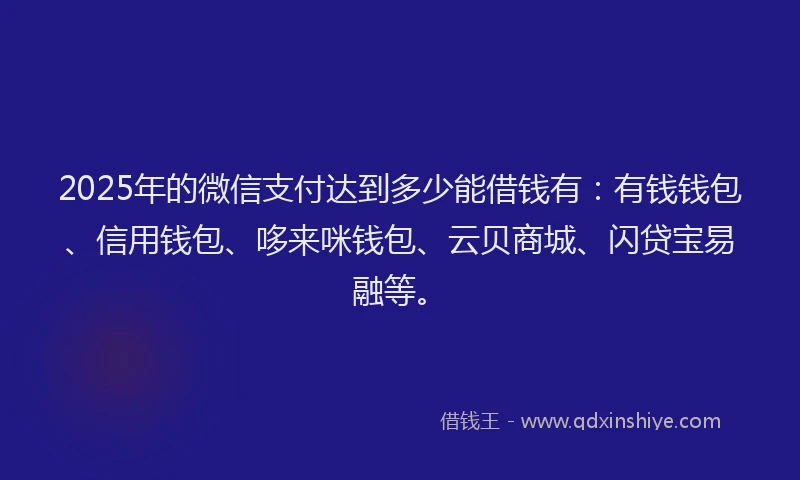 2025年的微信支付达到多少能借钱有：有钱钱包、信用钱包、哆来咪钱包、云贝商城、闪贷宝易融等。