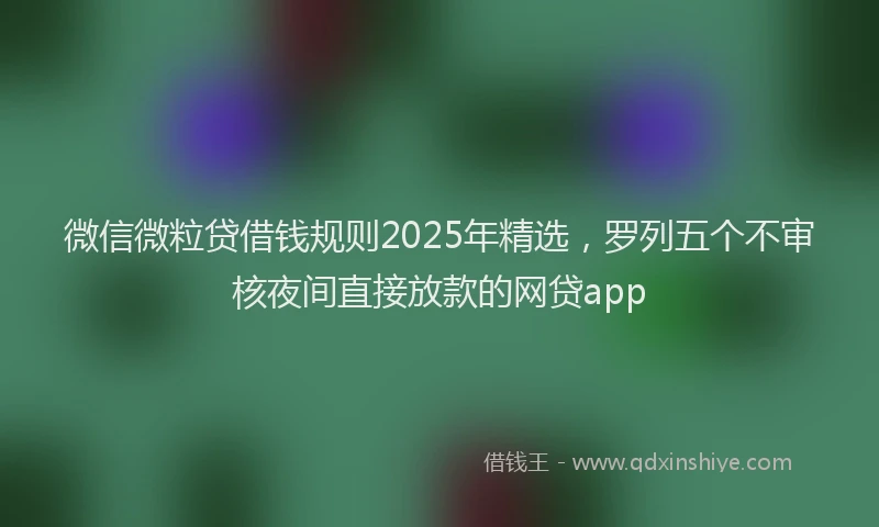 微信微粒贷借钱规则2025年精选，罗列五个不审核夜间直接放款的网贷app