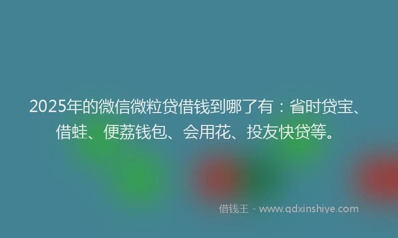 2025年的微信微粒贷借钱到哪了有：省时贷宝、借蛙、便荔钱包、会用花、投友快贷等。