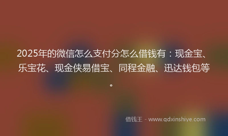 2025年的微信怎么支付分怎么借钱有：现金宝、乐宝花、现金侠易借宝、同程金融、迅达钱包等。