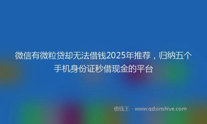 微信有微粒贷却无法借钱2025年推荐，归纳五个手机身份证秒借现金的平台
