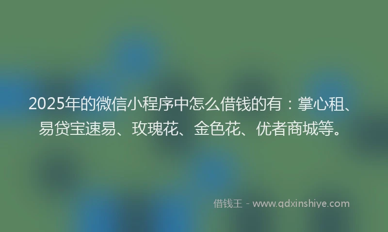 2025年的微信小程序中怎么借钱的有：掌心租、易贷宝速易、玫瑰花、金色花、优者商城等。