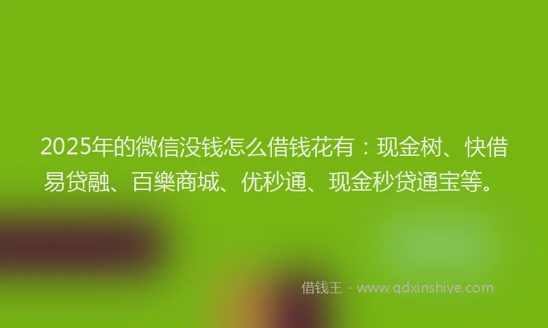2025年的微信没钱怎么借钱花有：现金树、快借易贷融、百樂商城、优秒通、现金秒贷通宝等。