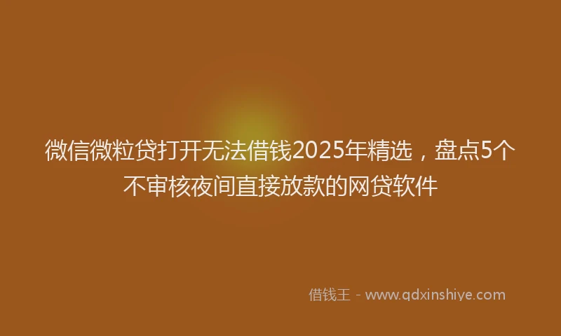 微信微粒贷打开无法借钱2025年精选，盘点5个不审核夜间直接放款的网贷软件