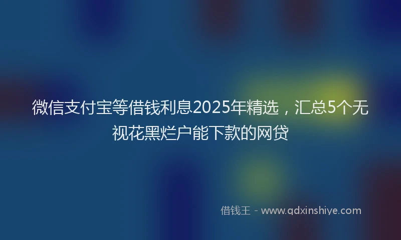微信支付宝等借钱利息2025年精选，汇总5个无视花黑烂户能下款的网贷