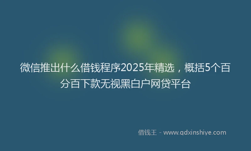 微信推出什么借钱程序2025年精选，概括5个百分百下款无视黑白户网贷平台