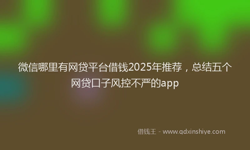 微信哪里有网贷平台借钱2025年推荐，总结五个网贷口子风控不严的app