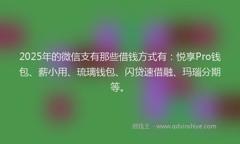 2025年的微信支有那些借钱方式有：悦享Pro钱包、薪小用、琉璃钱包、闪贷速借融、玛瑙分期等。