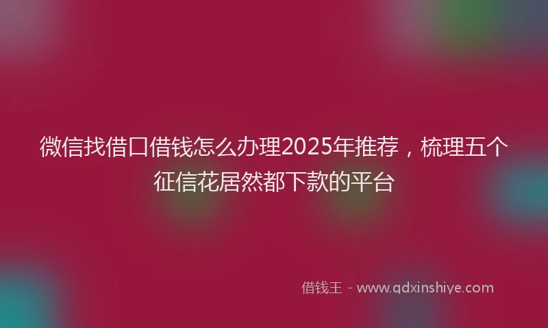 微信找借口借钱怎么办理2025年推荐，梳理五个征信花居然都下款的平台