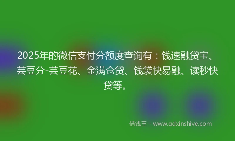 2025年的微信支付分额度查询有：钱速融贷宝、芸豆分-芸豆花、金满仓贷、钱袋快易融、读秒快贷等。