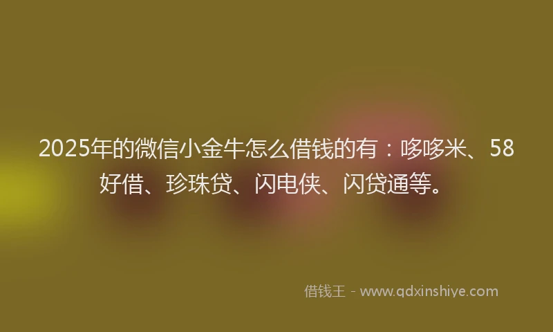 2025年的微信小金牛怎么借钱的有：哆哆米、58好借、珍珠贷、闪电侠、闪贷通等。