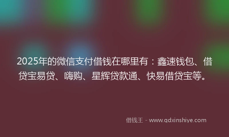 2025年的微信支付借钱在哪里有：鑫速钱包、借贷宝易贷、嗨购、星辉贷款通、快易借贷宝等。