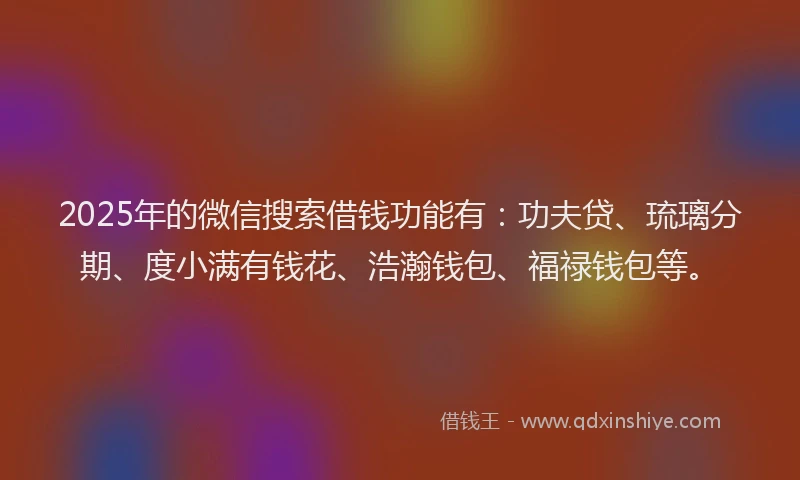 2025年的微信搜索借钱功能有：功夫贷、琉璃分期、度小满有钱花、浩瀚钱包、福禄钱包等。
