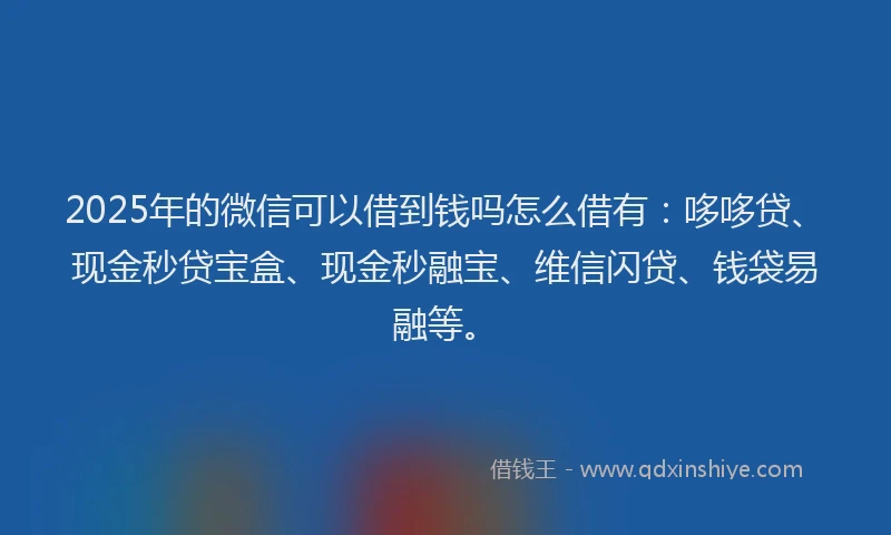 2025年的微信可以借到钱吗怎么借有：哆哆贷、现金秒贷宝盒、现金秒融宝、维信闪贷、钱袋易融等。