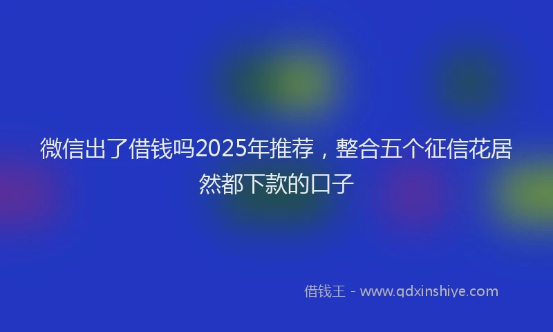 微信出了借钱吗2025年推荐，整合五个征信花居然都下款的口子