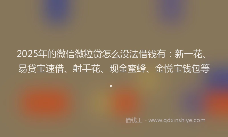 2025年的微信微粒贷怎么没法借钱有：新一花、易贷宝速借、射手花、现金蜜蜂、金悦宝钱包等。