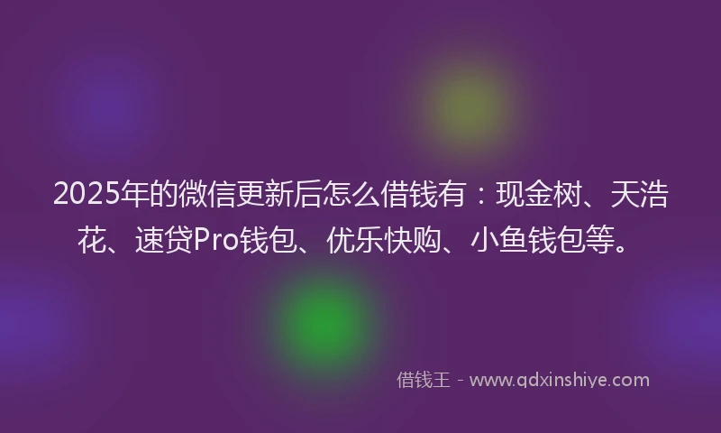 2025年的微信更新后怎么借钱有：现金树、天浩花、速贷Pro钱包、优乐快购、小鱼钱包等。