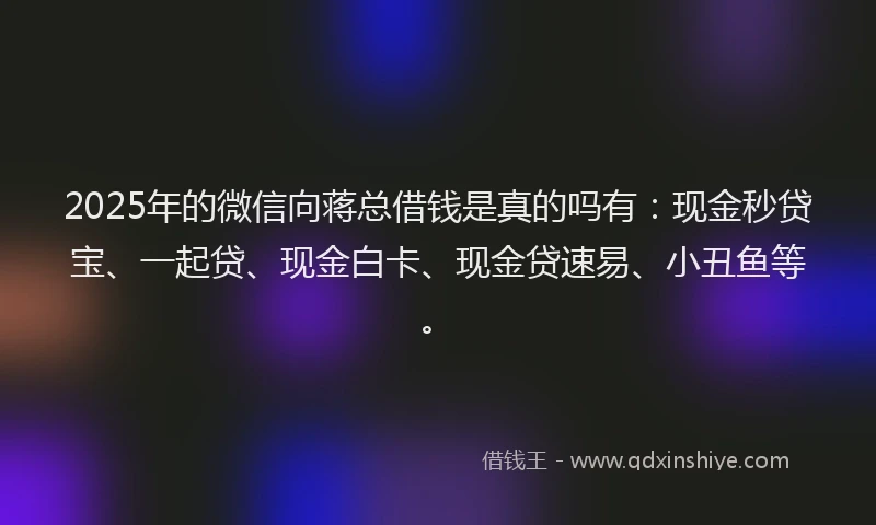2025年的微信向蒋总借钱是真的吗有：现金秒贷宝、一起贷、现金白卡、现金贷速易、小丑鱼等。