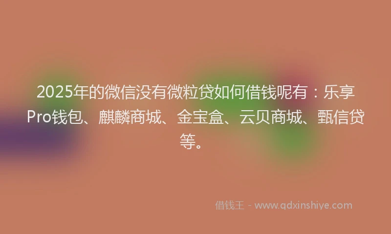 2025年的微信没有微粒贷如何借钱呢有：乐享Pro钱包、麒麟商城、金宝盒、云贝商城、甄信贷等。