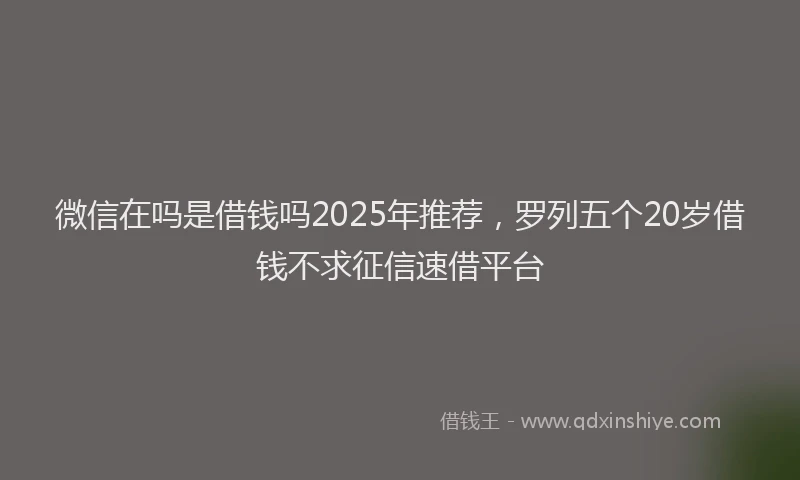 微信在吗是借钱吗2025年推荐，罗列五个20岁借钱不求征信速借平台
