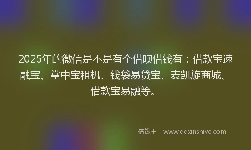 2025年的微信是不是有个借呗借钱有：借款宝速融宝、掌中宝租机、钱袋易贷宝、麦凯旋商城、借款宝易融等。